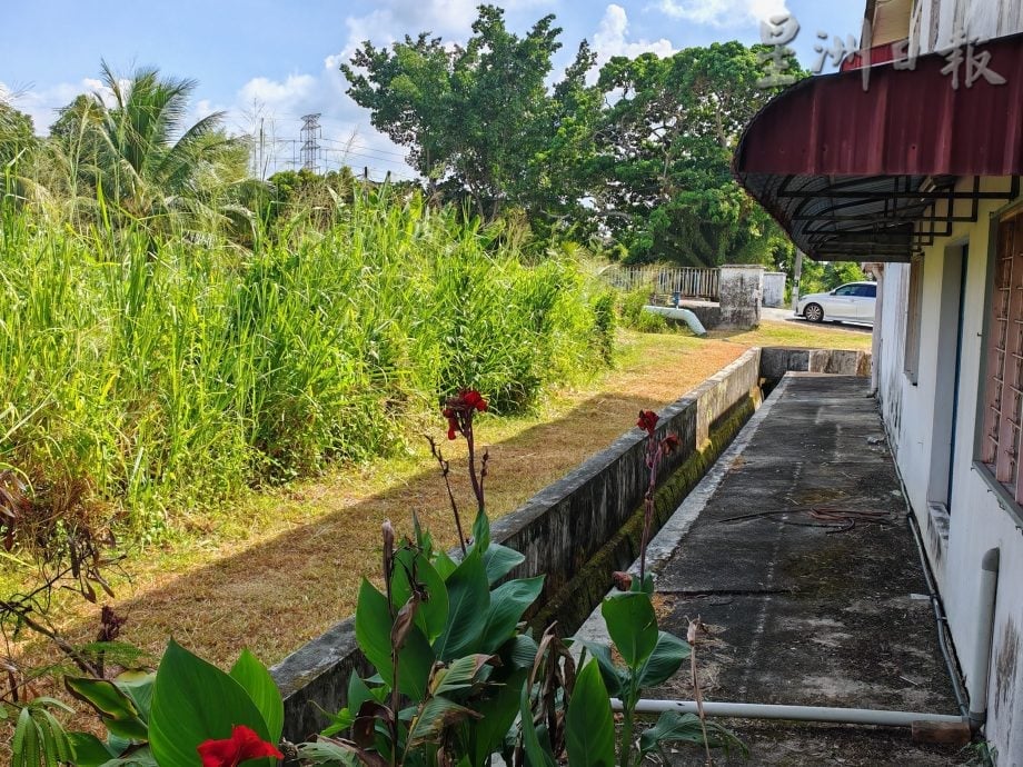 (备用,下版时请签发)柔:头条之一:民生特工队〡屋后大沟旁杂草丛生,影响环境卫生