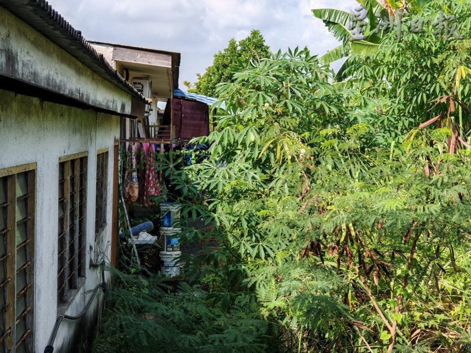 (备用,下版时请签发)柔:头条之一:民生特工队〡屋后大沟旁杂草丛生,影响环境卫生
