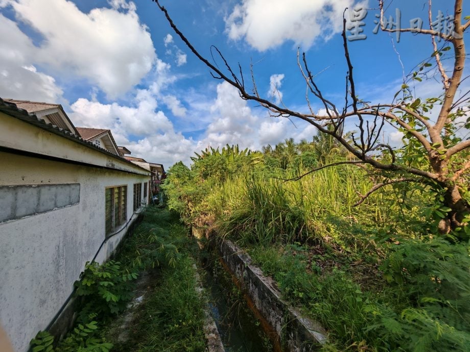 (备用,下版时请签发)柔:头条之一:民生特工队〡屋后大沟旁杂草丛生,影响环境卫生