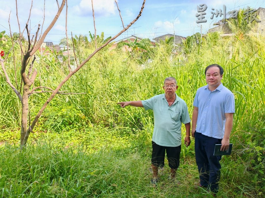 (备用,下版时请签发)柔:头条之一:民生特工队〡屋后大沟旁杂草丛生,影响环境卫生