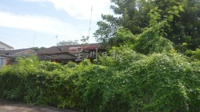 “森林屋”杂草丛生滋生蛇鼠   邻居投诉 市厅追踪屋主