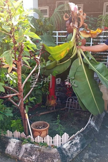 （古城封面副文）甲消拯局全国平均反应时间维持在5.59分钟