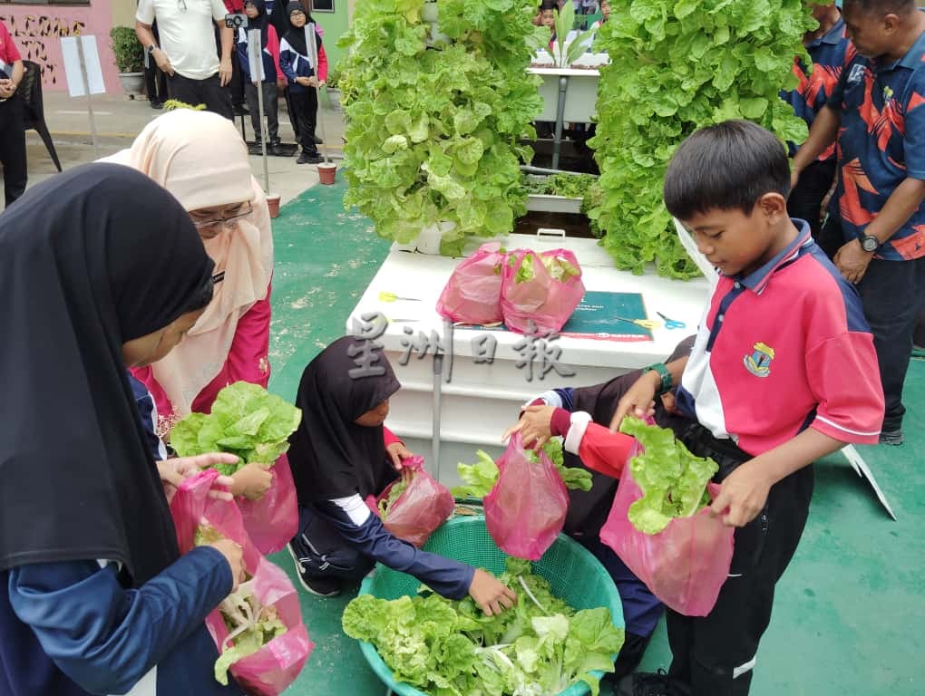 **已签发**柔:校园版头:鱼菜共生计划有成 敦帕尔国小师生喜迎丰收
