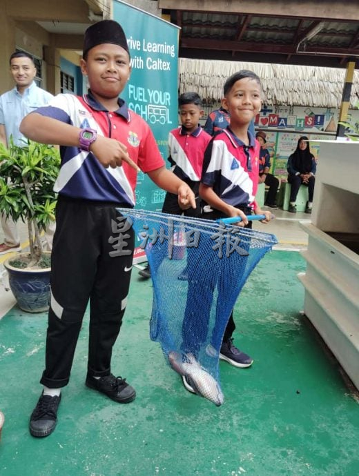 **已签发**柔:校园版头:鱼菜共生计划有成 敦帕尔国小师生喜迎丰收