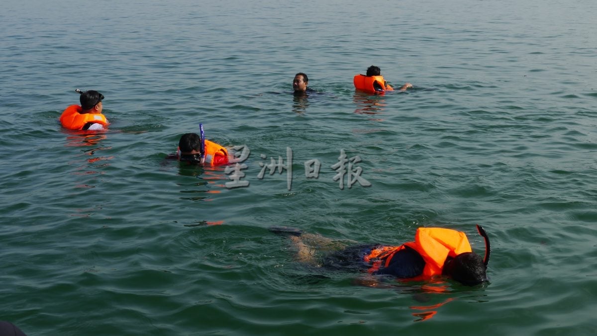 (供星洲网)NS芙蓉/波德申珊瑚、观赏鱼屡遭盗采捕捞 森大臣斥:管控不严,促渔业、海事局加强执法