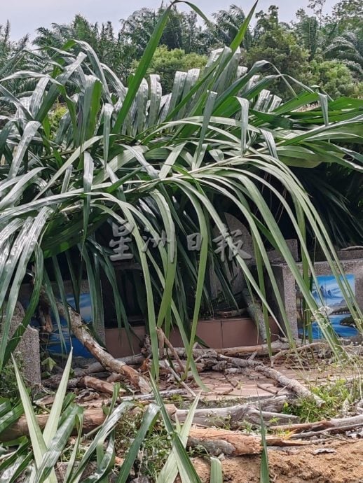 (古城第七版主文/签发)墓冢崩析损毁