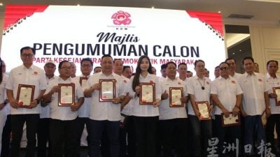 和谐党上阵40席 若执政威特伦当首长