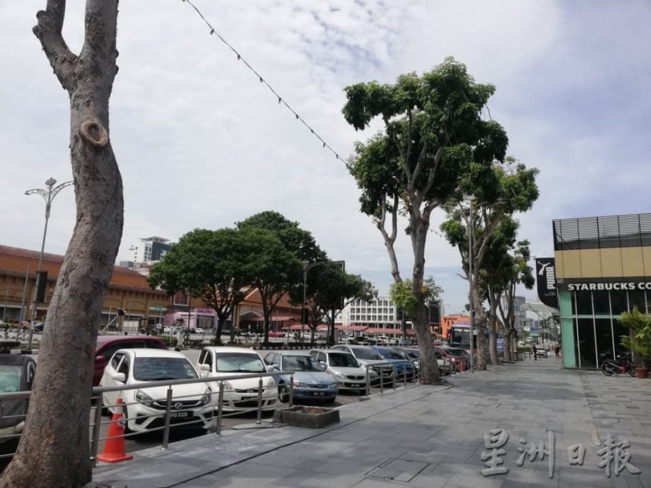 （古城封面副文）鸦患问题困扰民众 林朝雁促勿“喂养”乌鸦