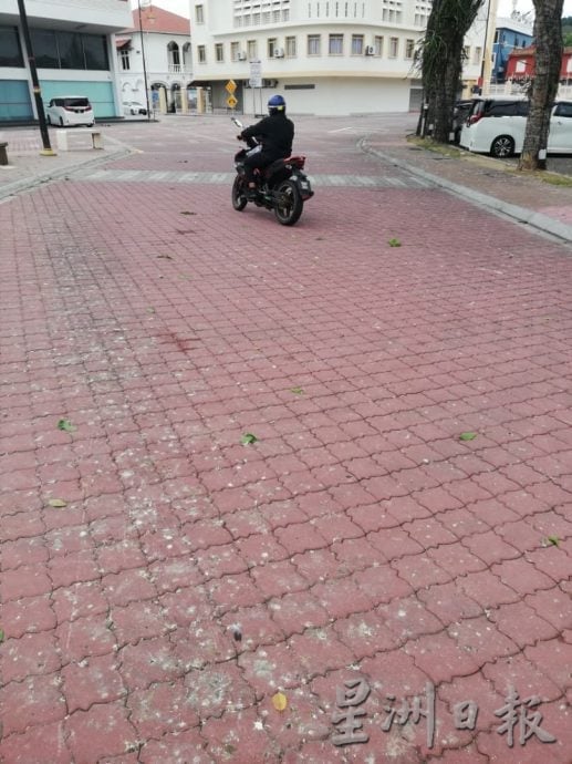 （古城封面副文）鸦患问题困扰民众 林朝雁促勿“喂养”乌鸦