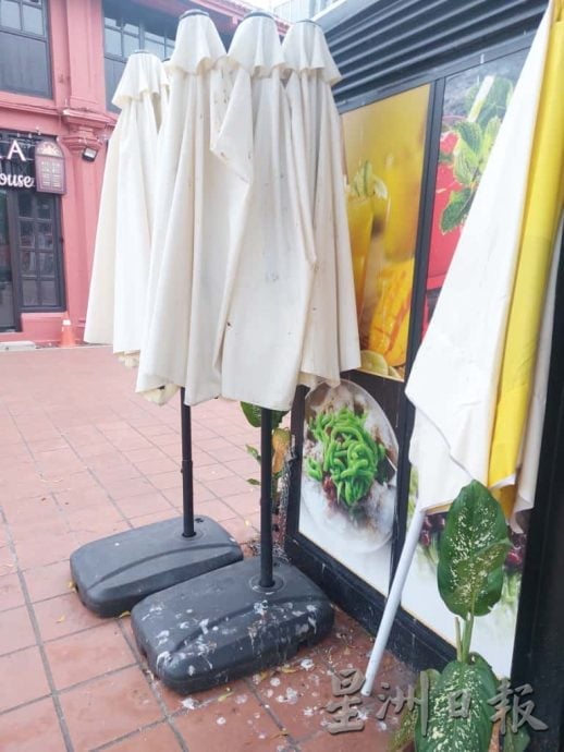 （古城封面主文）乌鸦入驻河畔筑巢及繁殖