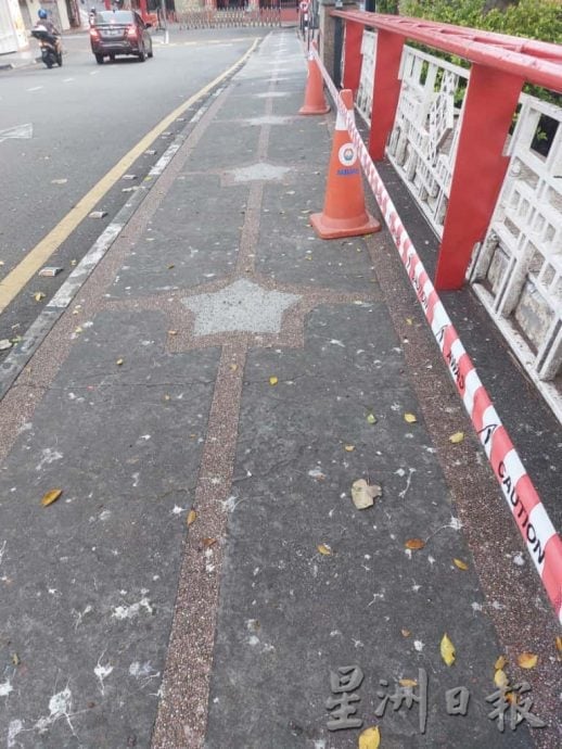 （古城封面主文）乌鸦入驻河畔筑巢及繁殖