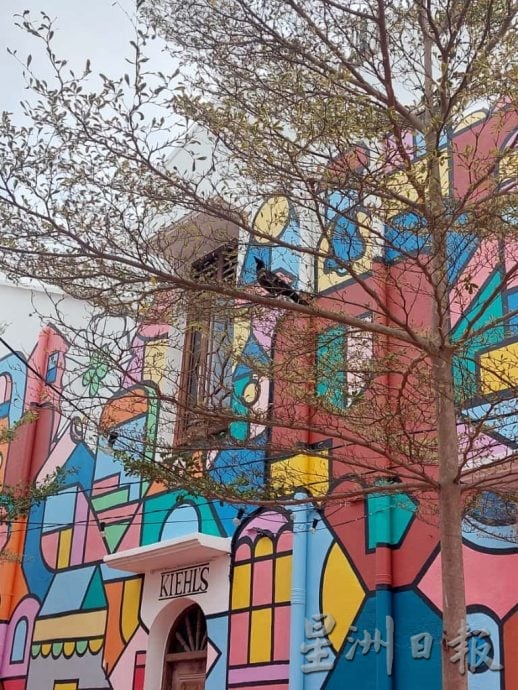 （古城封面主文）乌鸦入驻河畔筑巢及繁殖