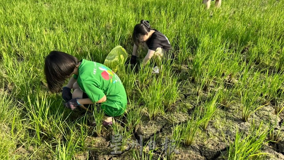 (古城第二版主文)【带你去找爱】:粒粒皆辛苦的爱!