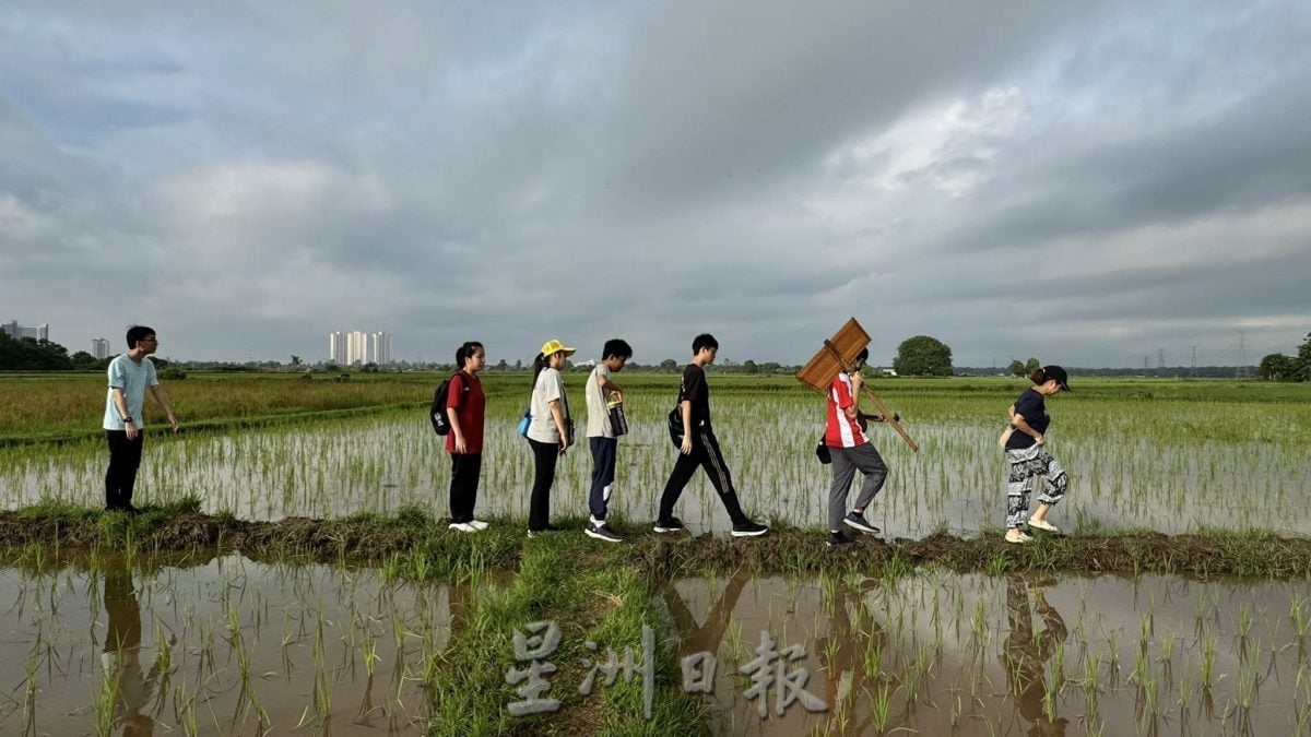 (古城第二版主文)【带你去找爱】:粒粒皆辛苦的爱!