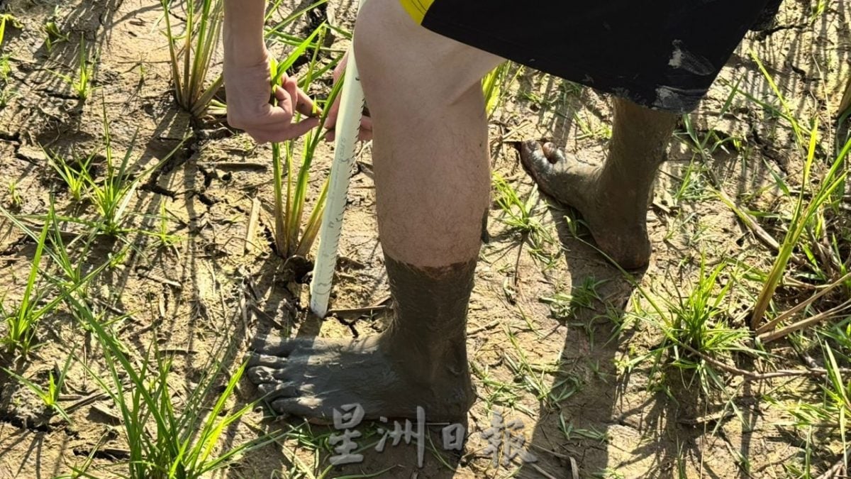 (古城第二版主文)【带你去找爱】:粒粒皆辛苦的爱!