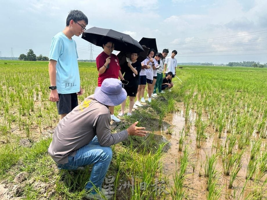 (古城第二版主文)【带你去找爱】:粒粒皆辛苦的爱!