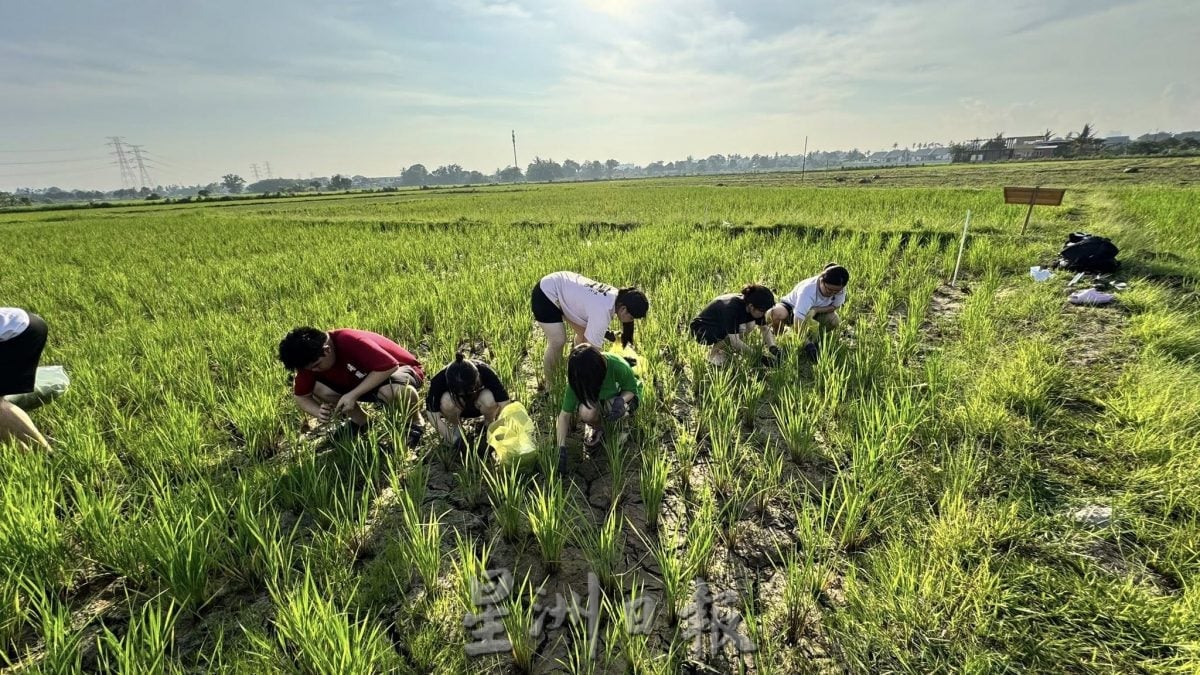 (古城第二版主文)【带你去找爱】:粒粒皆辛苦的爱!