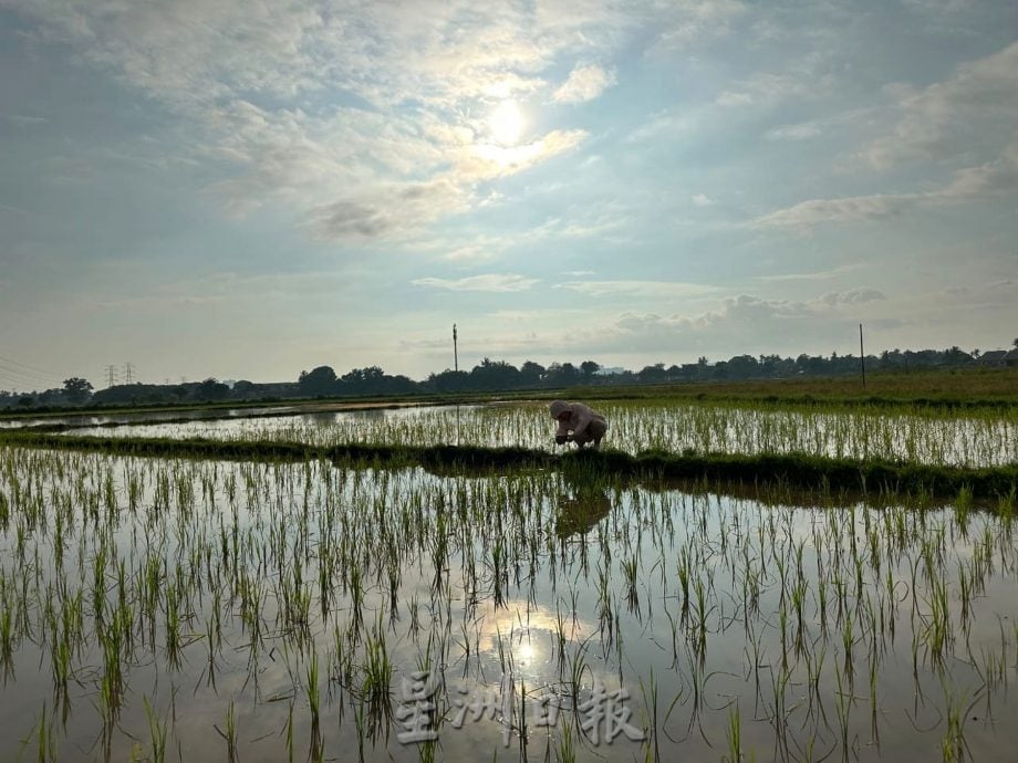 (古城第二版主文)【带你去找爱】:粒粒皆辛苦的爱!