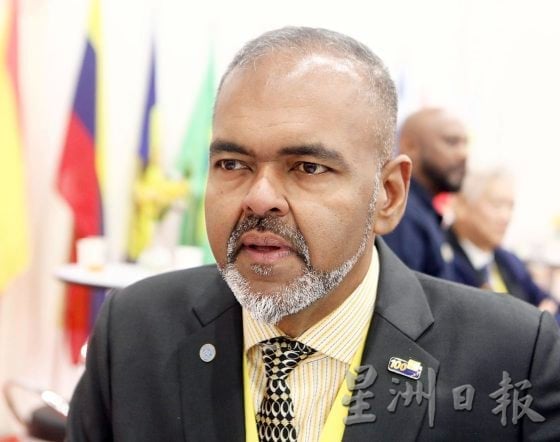 什么是纯种犬与品种犬？你知道它们的区别吗？