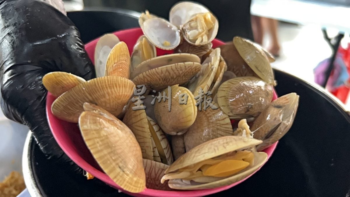 大霹雳封底主文/【人气美食】/海鲜粉实惠 鱼头粉鲜美 阿桥煮水粉汤热香更浓