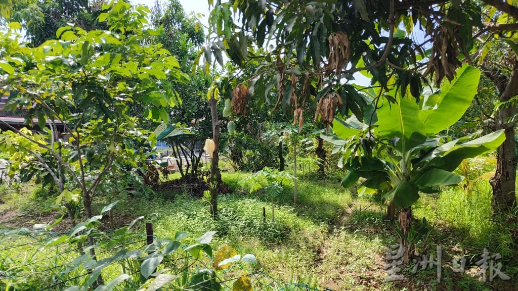 打扪团结利亚花园火灾| 死者疑闻异味到屋外查看 返屋不久火灾逃生不及