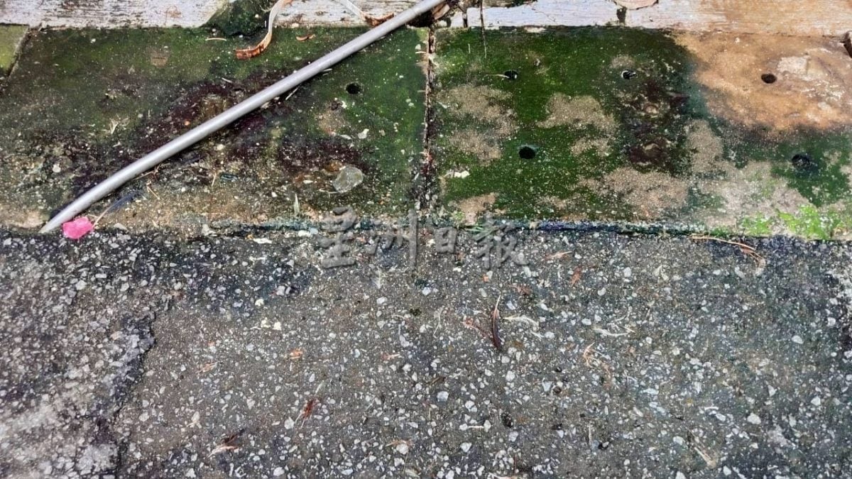 “后巷养鸡、店内活宰”再现乱象 破坏市容 卫生堪忧