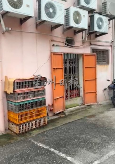 “后巷养鸡、店内活宰”再现乱象 破坏市容 卫生堪忧