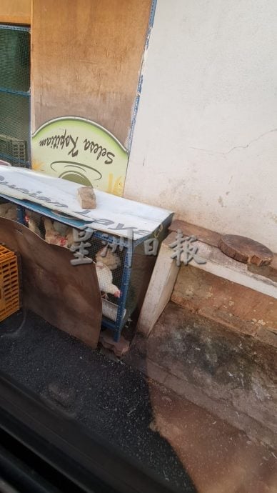 “后巷养鸡、店内活宰”再现乱象 破坏市容 卫生堪忧