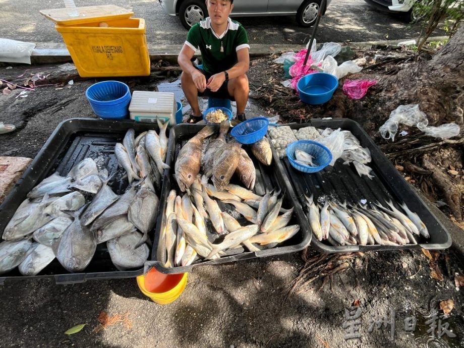 霹:封面主文∕渔船陆续复航渔获增多 有鱼无市价格不变