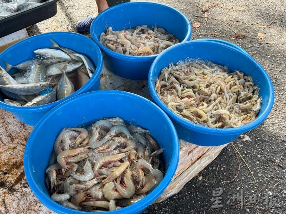 霹:封面主文∕渔船陆续复航渔获增多 有鱼无市价格不变