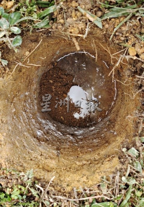 供星洲网:芙李三路华人义山拟设环保“植存葬” 或成芙蓉首个试跑区