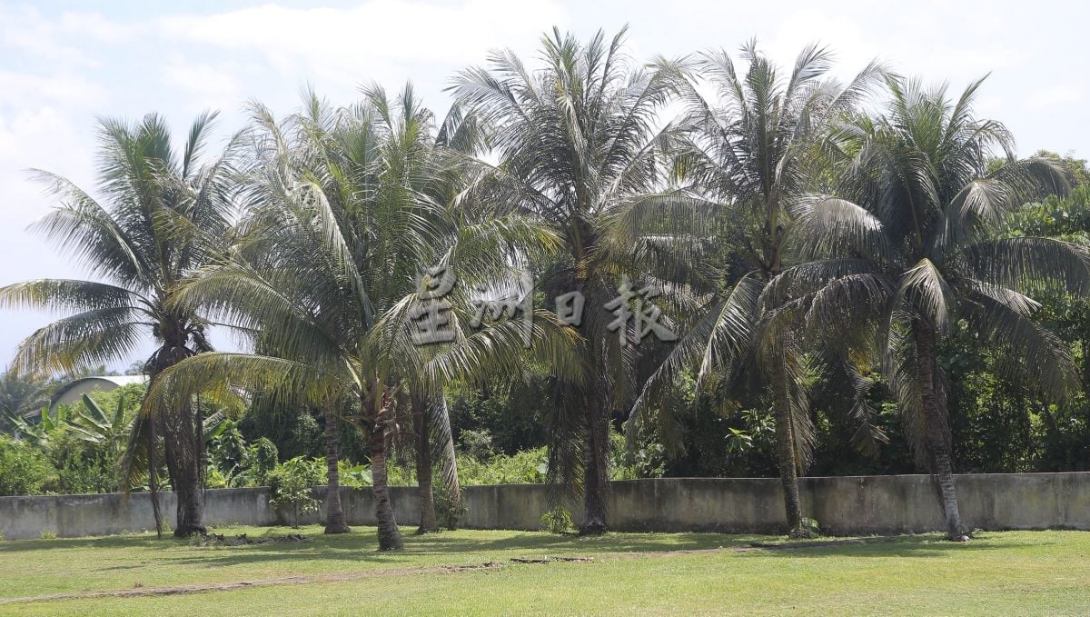 霹:19日见报∕封底主文∕微型华小 不微使命 | 东兴港新民小学看似“微小” 内则团结强大