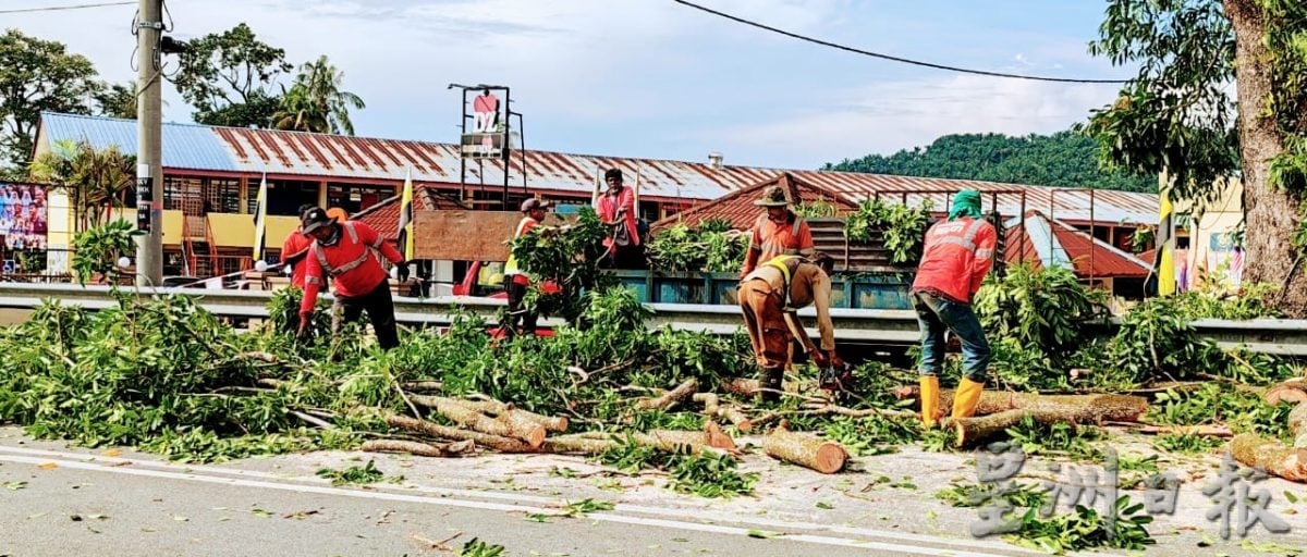 仕林河联邦公路3地点 砍伐清理树干