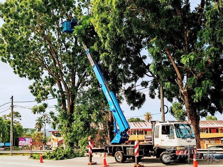 仕林河联邦公路3地点 砍伐清理树干