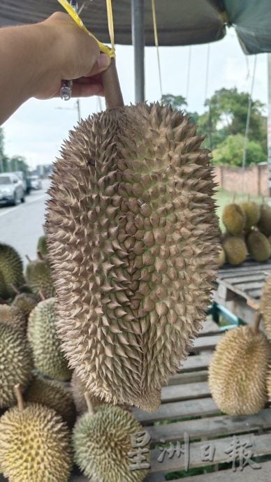 榴梿飘香季 食客路边停车吃榴梿