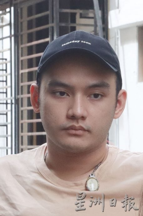 白鸽滋扰加剧，罗白与市政厅联手控制问题