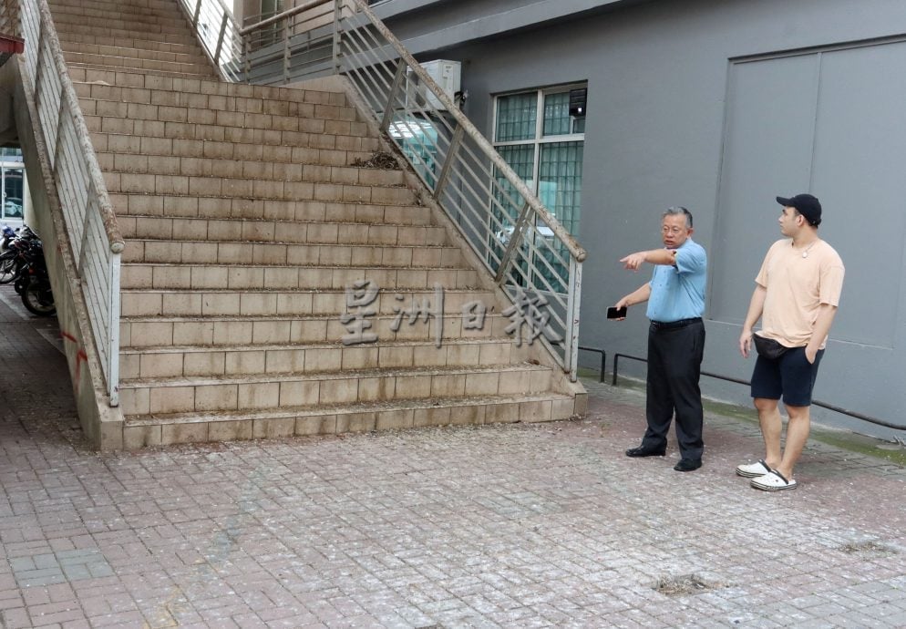 白鸽滋扰加剧，罗白与市政厅联手控制问题