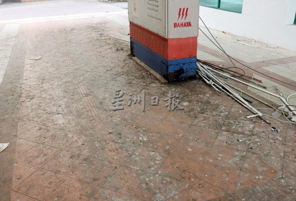 白鸽滋扰加剧，罗白与市政厅联手控制问题