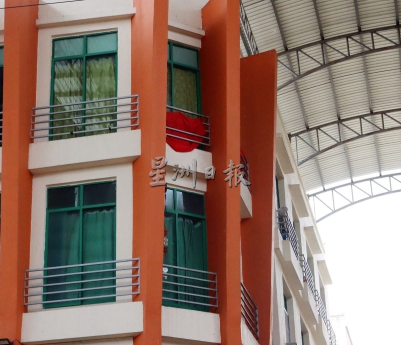 白鸽滋扰加剧，罗白与市政厅联手控制问题