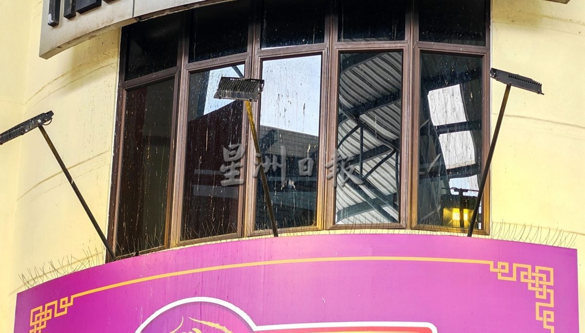 白鸽滋扰加剧，罗白与市政厅联手控制问题