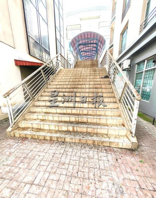 白鸽滋扰加剧，罗白与市政厅联手控制问题