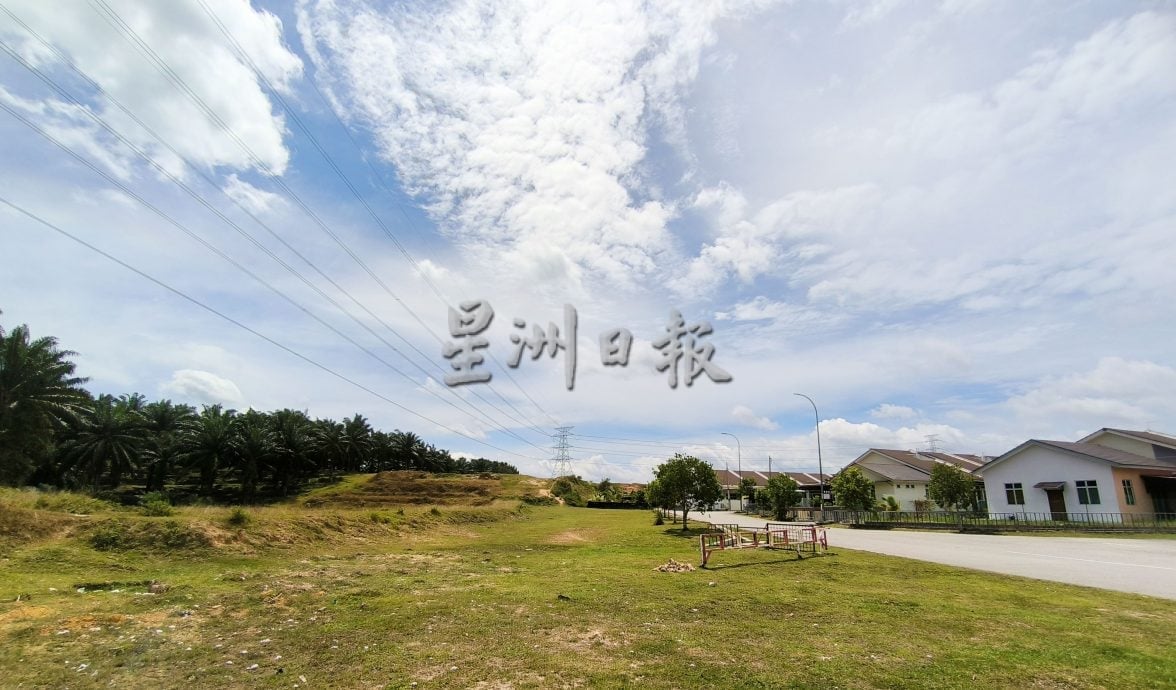 牛群闯荡绿高苑逾一年　居民吁市政厅拿出有效对策