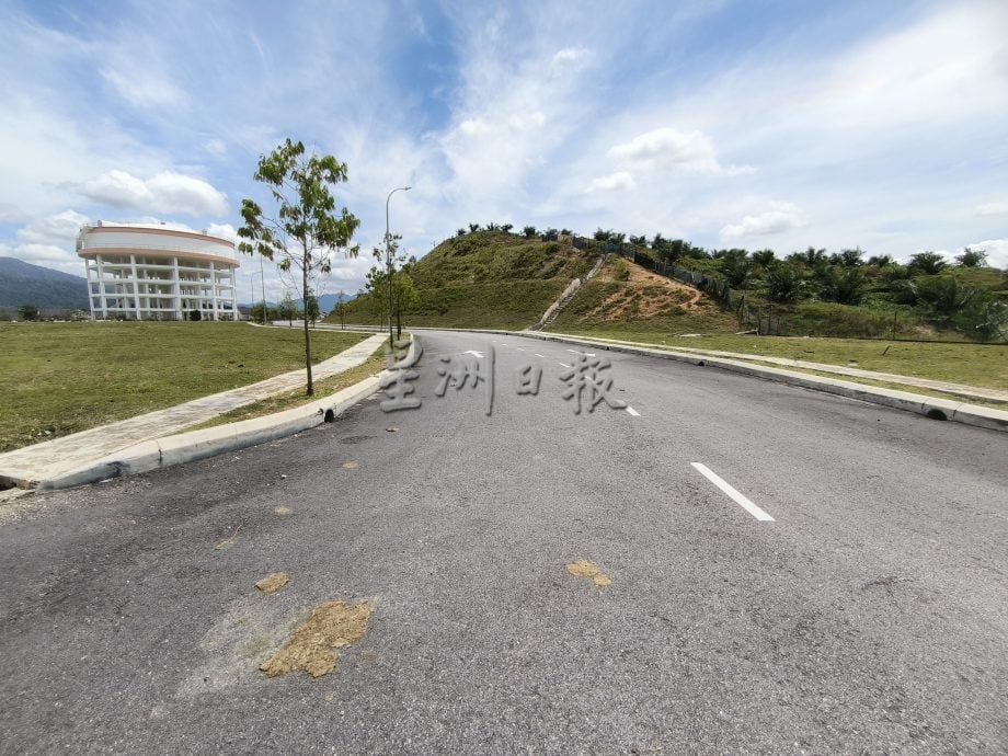 牛群闯荡绿高苑逾一年　居民吁市政厅拿出有效对策