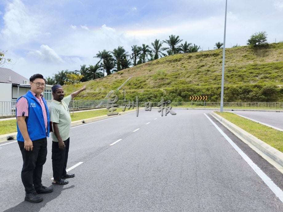 牛群闯荡绿高苑逾一年　居民吁市政厅拿出有效对策