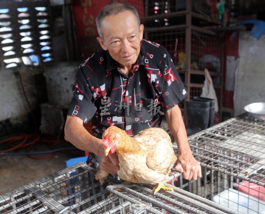 【有故事的人】★11月23日刊登／／昔日健美先生武功枪械高手  张德清关节病缠身卖鸡谋生