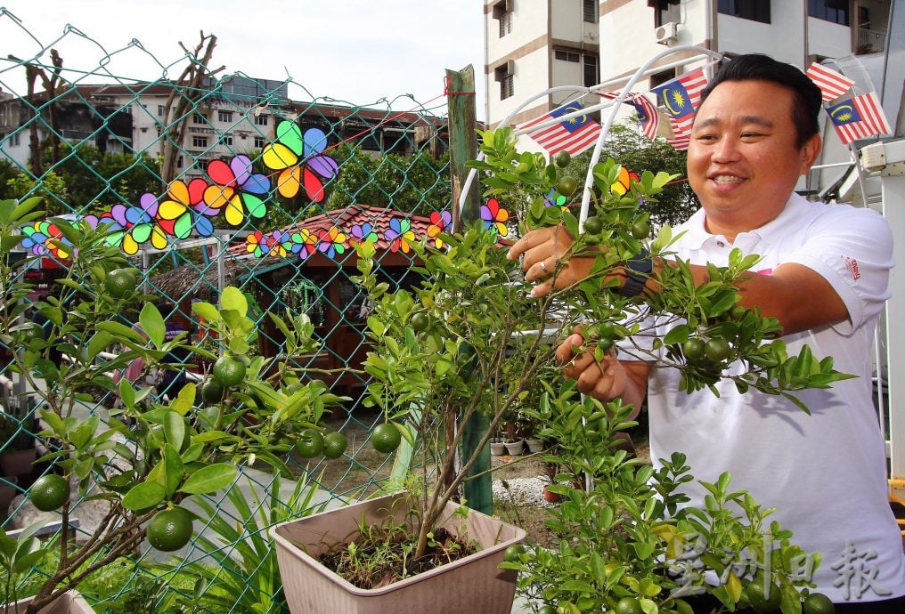 请签发（大北马）槟首个城市农耕菜园10年 林冠英争取打造温室