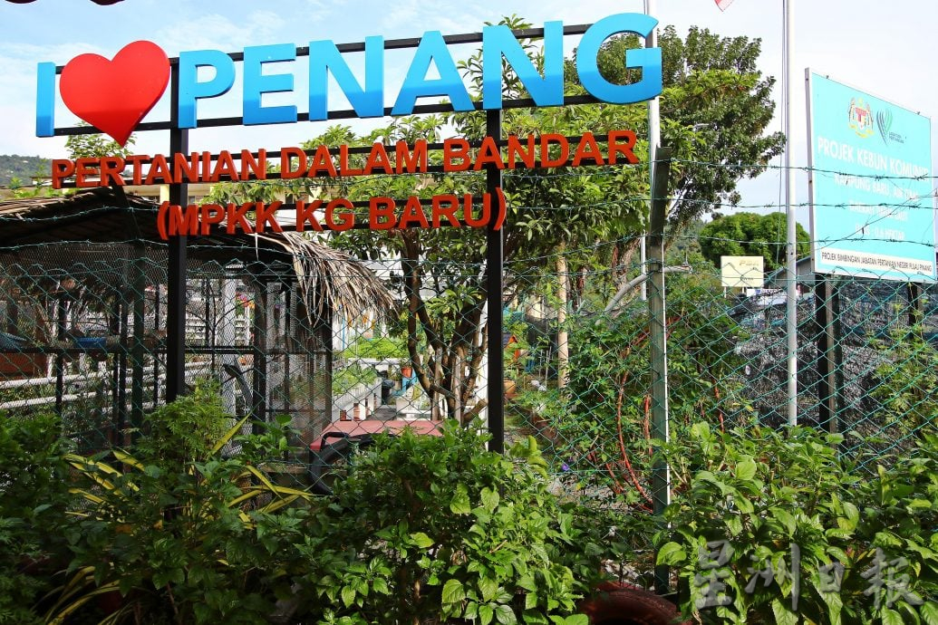 请签发（大北马）槟首个城市农耕菜园10年 林冠英争取打造温室