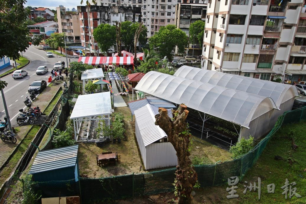 请签发（大北马）槟首个城市农耕菜园10年 林冠英争取打造温室