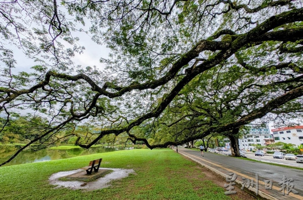 霹:未签∕第三版头∕黄家和指1000万令吉全面提升太平湖公园工程明年展开