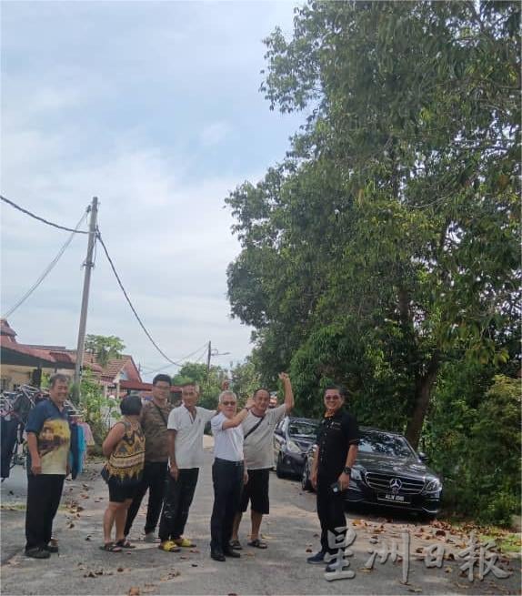 （古城版）美华花园大树